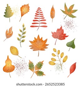 Collection of autumn leaves with textures in flat style hand drawn for cards, posters, invitations, banners, tags, stickers, labels
