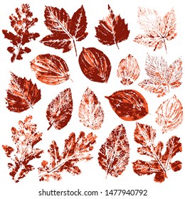 Collection of autumn leaves. Two-tone prints of paint. Set of vector drawings with acrylic paints
