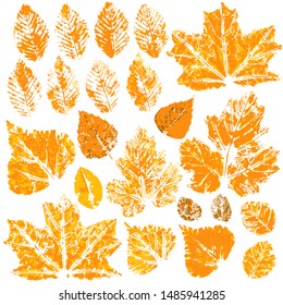 Collection of autumn leaves. Two-tone prints of paint. Set of vector drawings with acrylic paints