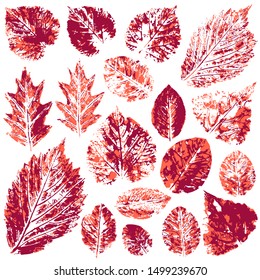 Collection of autumn leaves. Two-tone prints of paint. Set of vector drawings with acrylic paints