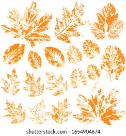 Collection of autumn leaves. Two-tone prints of paint. Set of vector drawings with acrylic paints