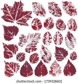 Collection of autumn leaves. Two-tone prints of paint. Set of vector drawings with acrylic paints