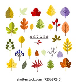 Collection of Autumn leaves, vector elements