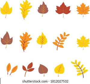 A collection of Autumn leaves vector illusions for this autumn season. 