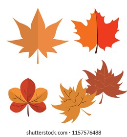 Collection of autumn leaves. Vector illustration