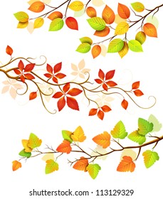 Collection of autumn leaves.Vector illustration