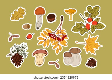 Collection of autumn mushroom and leaves stickers. Vector hand drawn isolated colored fungus and autumn leaves with white outline. Perfect for stickers, pattern, wrapping paper