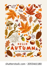 A collection of Autumn natural elements. Fall background design vector illustration.