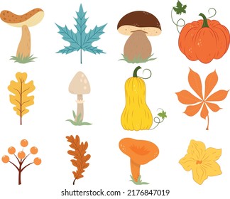 Collection with autumn plants. Flat vector set with mushroom, pumpkin, leaves and berries. 