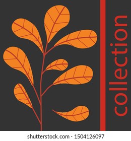 collection of autumn plants vector graphics