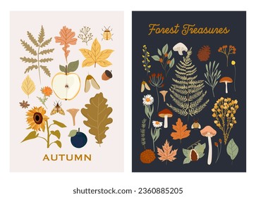 Collection of autumn posters, fall cards. Botanical illustrations, Fall leaves, harvest, pumpkin, wild flowers, herbs, plants. Editable vector illustration. 