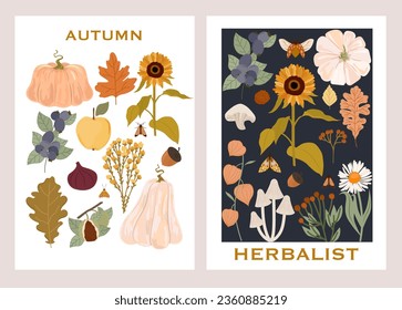 Collection of autumn posters, fall cards. Botanical illustrations, Fall leaves, harvest, pumpkin, wild flowers, herbs, plants. Editable vector illustration. 