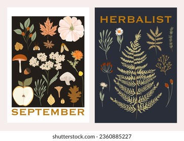 Collection of autumn posters, fall cards. Botanical illustrations, Fall leaves, harvest, pumpkin, wild flowers, herbs, plants. Editable vector illustration. 