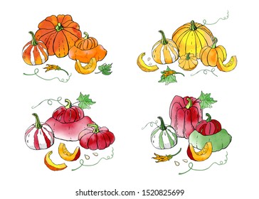 Collection of autumn pumpkin compositions with watercolor texture. Fall harvest. Vector set. Cute icons for postcards, greetings, cards, logo. Food background. Hand drawn. Halloween, thanksgiving.