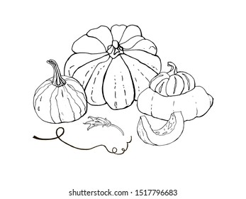 Collection of autumn pumpkin doodles. Fall harvest. Vector set. Cute icons for postcards, greetings, cards, logo, coloring book. Food background. Hand drawn design elements. Halloween, thanksgiving.