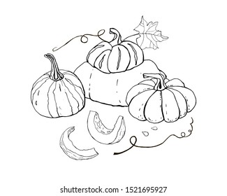 Collection of autumn pumpkin doodles. Fall harvest. Vector set. Cute icons for postcards, greetings, cards, logo, coloring book. Food background. Hand drawn design elements. Halloween, thanksgiving.