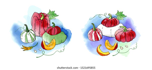 Collection of autumn red pumpkin compositions with watercolor texture. Fall harvest. Vector set. Cute icons for postcards, greetings, cards, logo. Food background. Hand drawn. Halloween, thanksgiving.