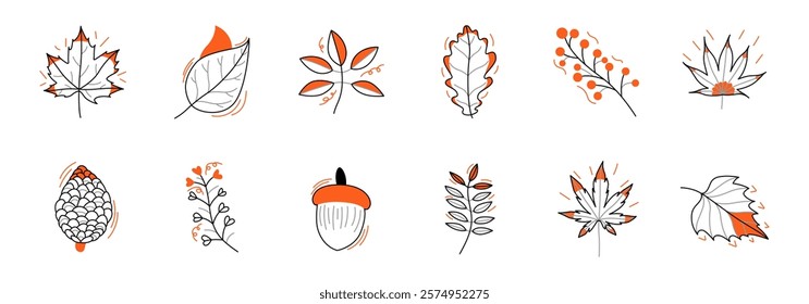 A collection of autumnal leaves, acorns, and berries in a stylized graphic design.