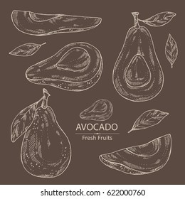 Collection of avocado and avocado slice. hand drawn.