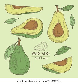 Collection of avocado and avocado slice. hand drawn.