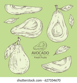 Collection of avocado and avocado slice. hand drawn.
