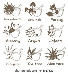 Collection of Ayurvedic Herbs. Labels for Essential Oils and Natural Supplements