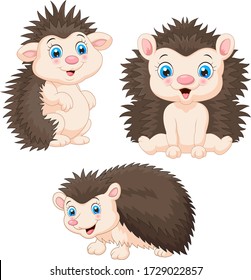 Collection of baby hedgehog cartoon sets