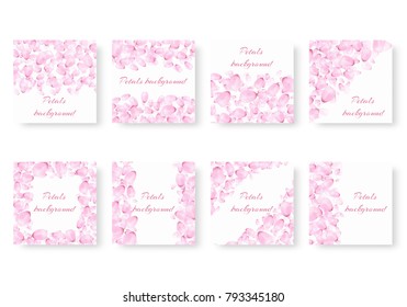Collection of backgrounds with delicate petals of cherry blossoms floating on a white backdrop for a romantic design of greeting cards, invitations and congratulations.