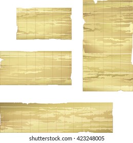 collection of bamboo banner, vector drawing