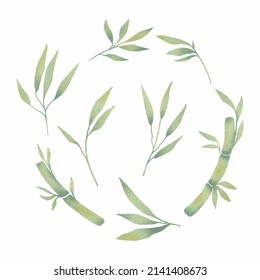 Collection Of Bamboo Leaves Drawing. Watercolor Style Design Vector