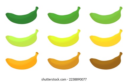 a collection of banana illustrations based on the level of ripeness on a white background