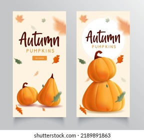 Collection Banner autumn with illustration of realistic pumpkins and flying leaves. Modern design