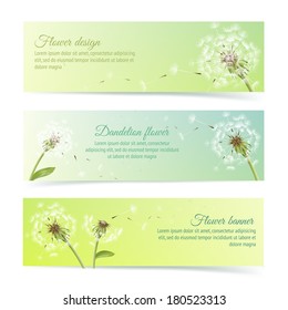 Collection of banners and ribbons with summer dandelion and pollens design elements isolated vector illustration