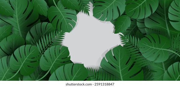 collection of banners set with green tropical leaves on white,yellow, pink background. Exotic leaves poster frame  botanical design for cosmetics, spa, perfume, beauty salon, florist shop.