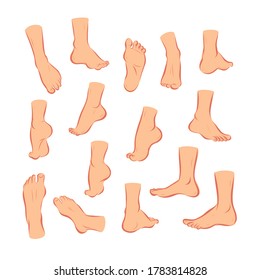Collection of bare human man and woman feet arranged in different poses  isolated on white background. Front, side, back view. Foot icon. Vector flat illustration.