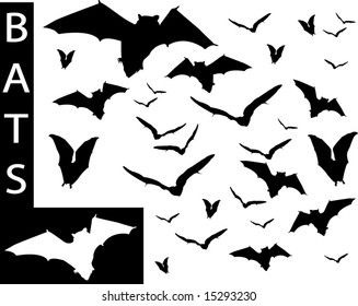 A collection of Bat silhouettes-Check out my portfolio for other collections.