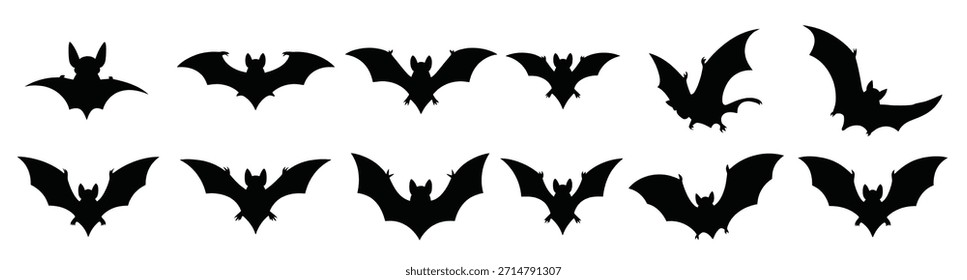 bats de coleta que dizem que bats são exibidos