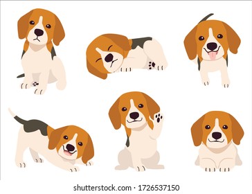 The collection of beagle in many action. Graphic resource about beagle for graphic, content, etc. 