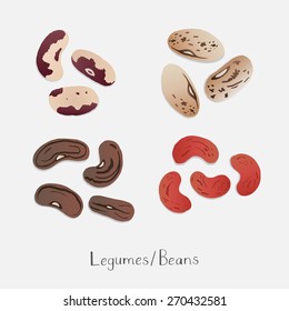 Collection of Beans hand drawn vector
