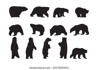 Collection of bear silhouette illustrations. Wildlife animals various poses vector