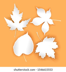 Collection beautiful autumn leaves isolated on orange background. Set of white leaves with shadows vector EPS 10 format