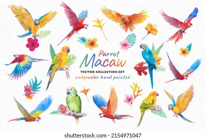 Collection Beautiful Bird parrot Macaw and paradise flower of leaf hand painted watercolor on paper texture white background.