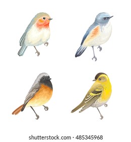 Collection of beautiful birds Robin, Himalayan Bluetail, Redstart and Siskin. Vector illustration birds for your design.