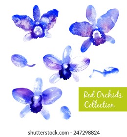 Collection of beautiful blue vector watercolor orchids