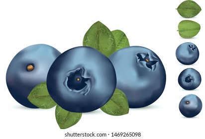 Collection beautiful blueberry with green leaft. 3d fresh realistic berry on white background. Vector illustration.