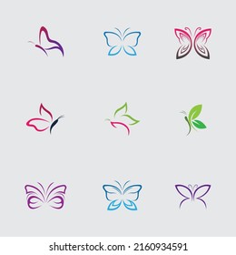 a collection of beautiful and beautiful butterflies on a gray background
