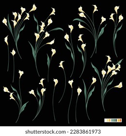 Collection of beautiful calla lily materials,
