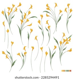 Collection of beautiful calla lily materials,