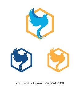 a collection of beautiful and charming bird logos on a white background