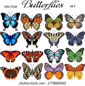 Collection of beautiful colored butterflies.Big vector set of multicolored butterflies for design.